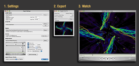 video export tool